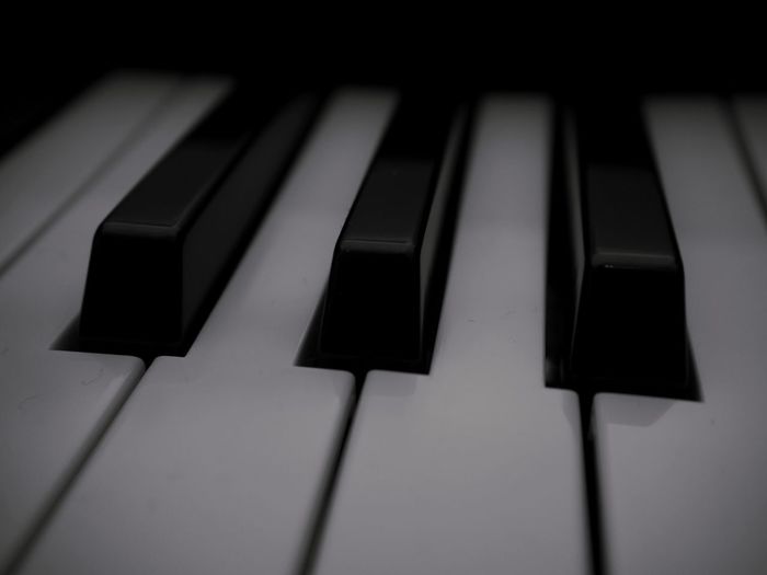 Close-up of piano keys