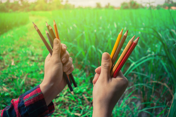 Cropped hands of man holding colored pencils