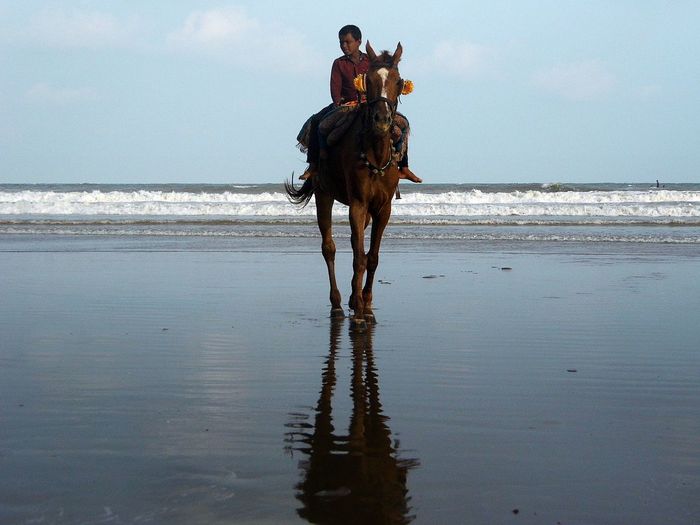 Young man sitting on horse at beach against sky