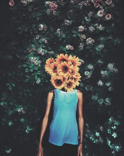 Digital composite image of woman with sunflowers