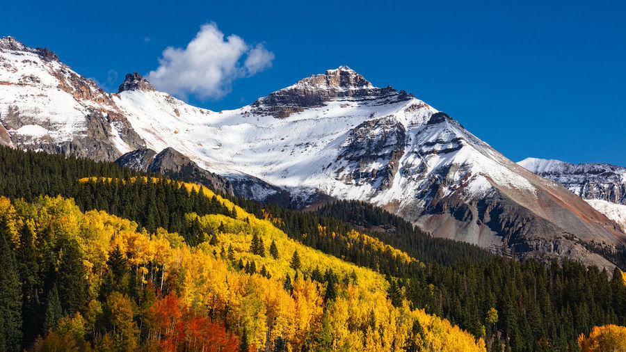 Fall colors in the rocky mountains near telluride, colorado