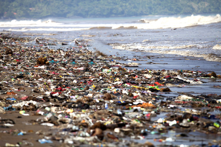 Polluted shore covered by washed up garbage