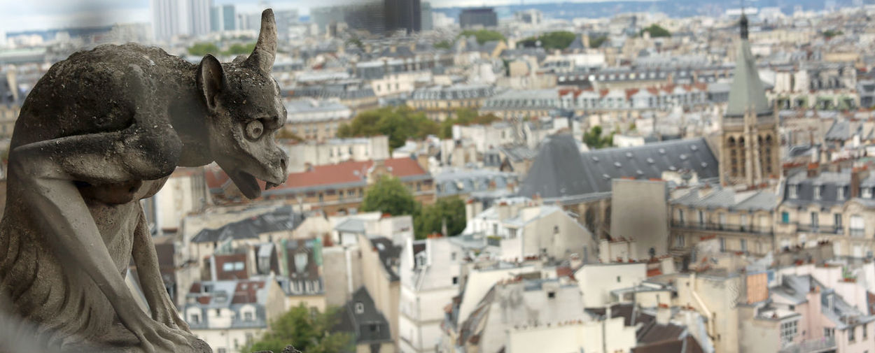 Gargoyle of the cathedral of notre dame and the panorama of paris in france