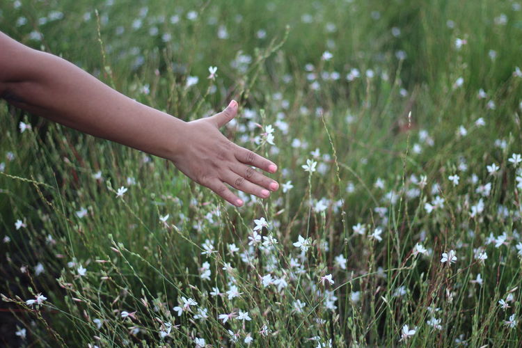 Close-up of woman relaxing on grass