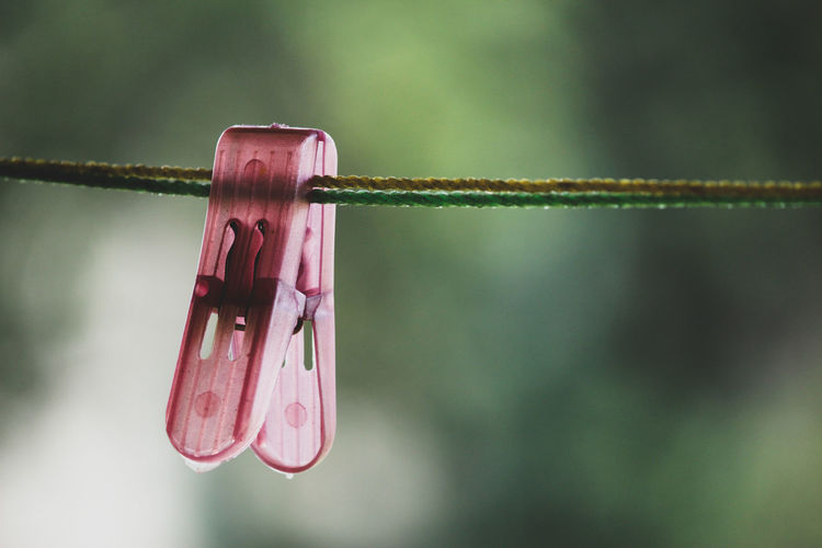 Close-up of clothespin on clothesline