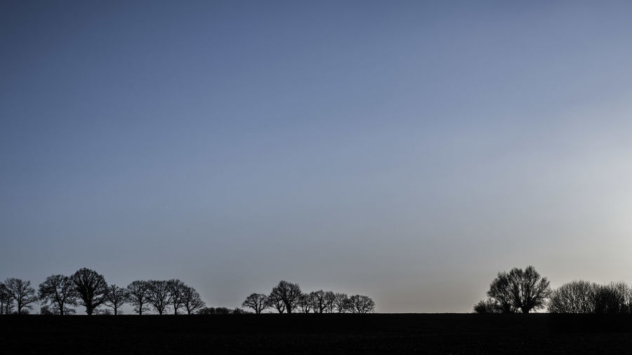 Silhouette trees on field against clear sky