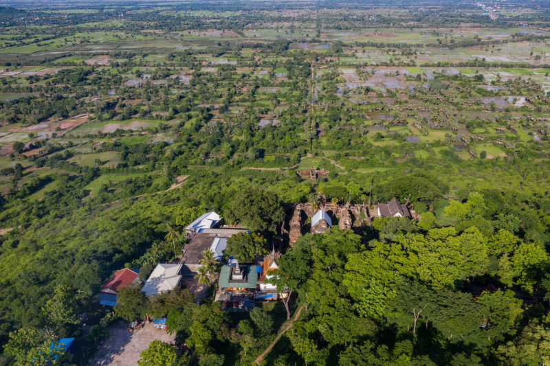 High angle view of trees and houses