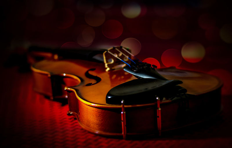 Close-up view of violin