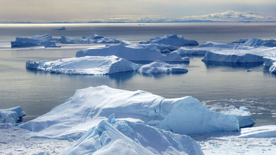 Icebergs off greenland