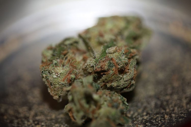 Marihuana bud macro background high quality big size print medical cannabis super lemon haze family
