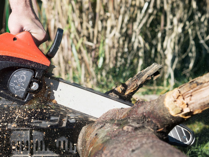 Cropped image of lumberjack cutting log with chainsaw