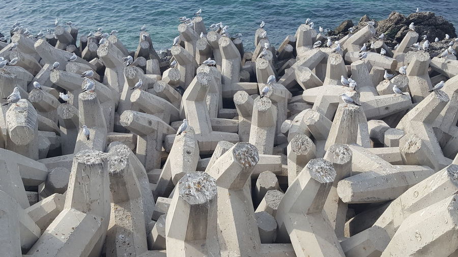 High angle view of concrete steles on beach with seabirds