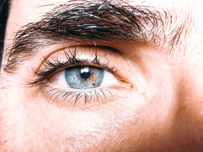 Close-up of human eye