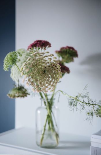 Close-up of flowers on table