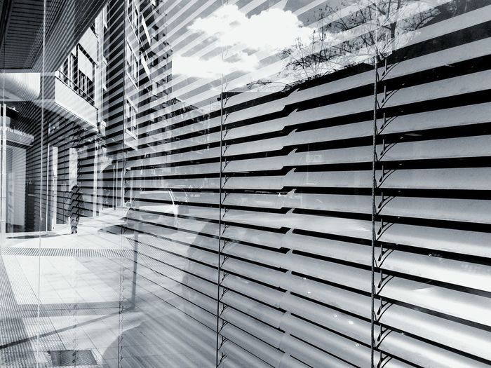 Full frame shot of window blinds