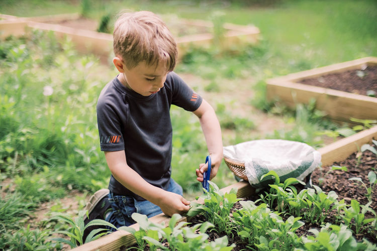 Rear view of boy and plants