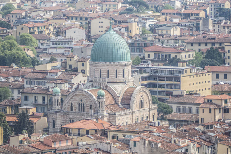 Synagogue of florence seen from above