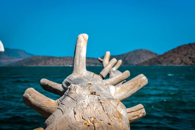 Close-up of driftwood against blue sea