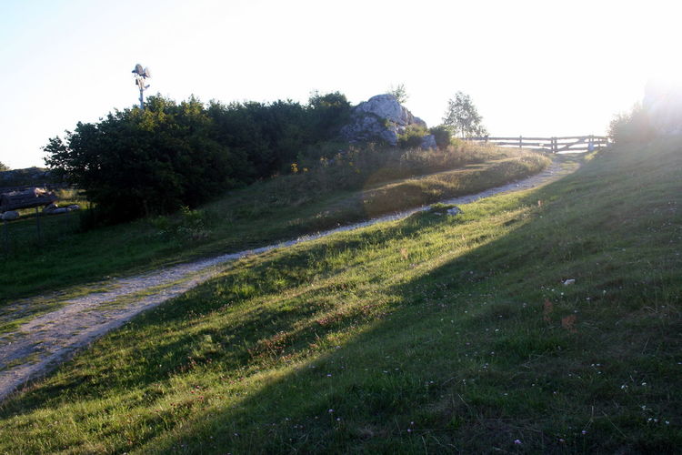 Scenic view of field against clear sky