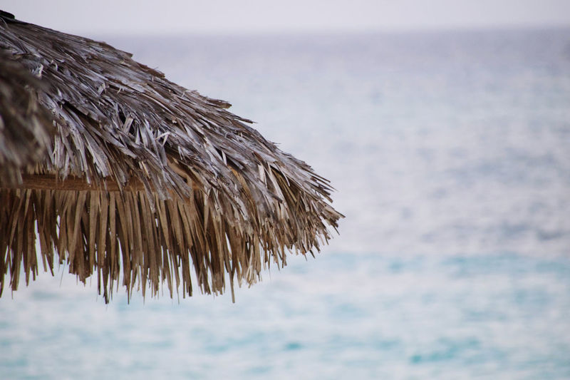 Close-up of thatched roof on beach against sky