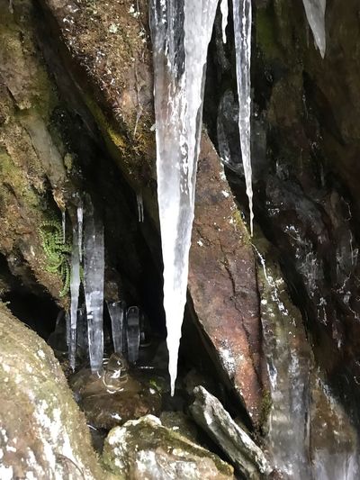 Scenic view of waterfall