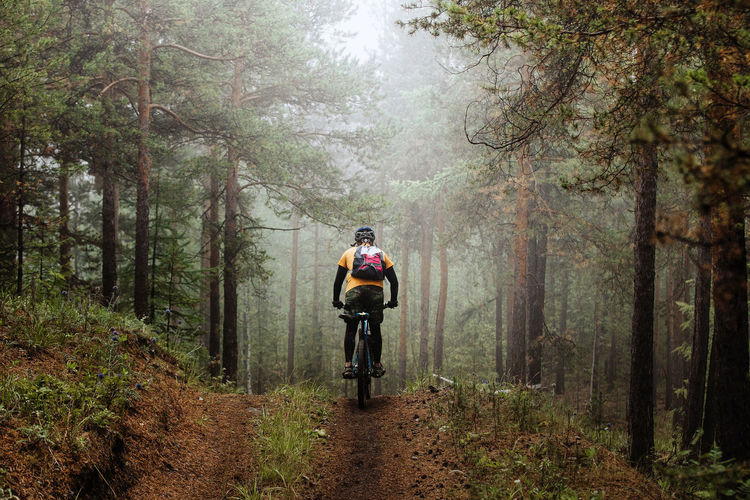 Rear view of man cycling in forest