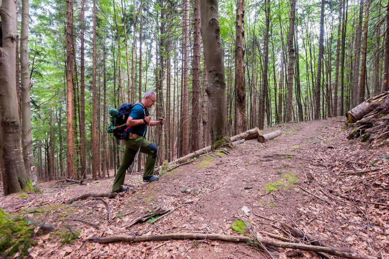 Side view of man hiking in forest