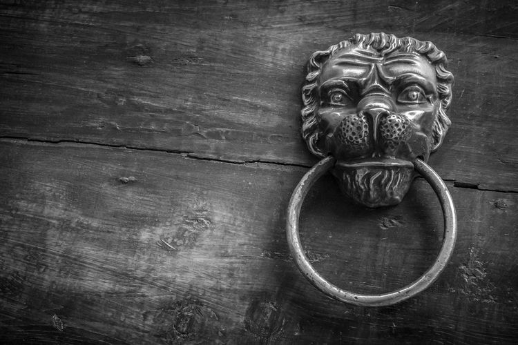 Close-up of antique lion head door knocker