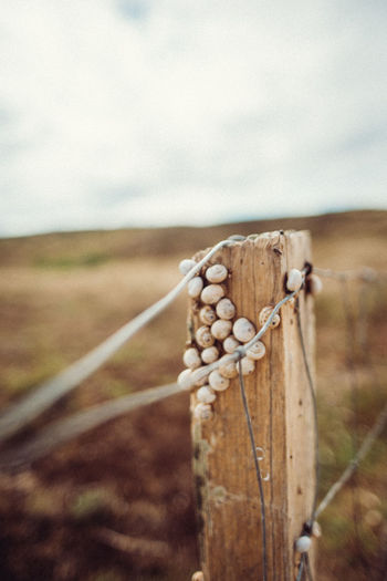 Close-up of rope tied on wooden post in field