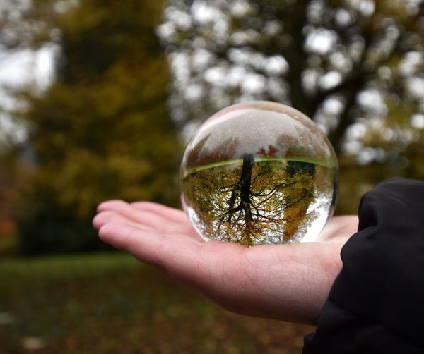 Close-up of person holding crystal ball against trees