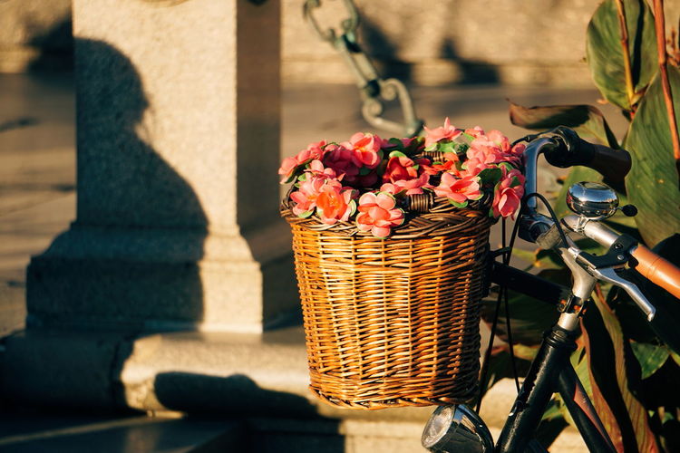 Close-up of flowers in bicycle basket