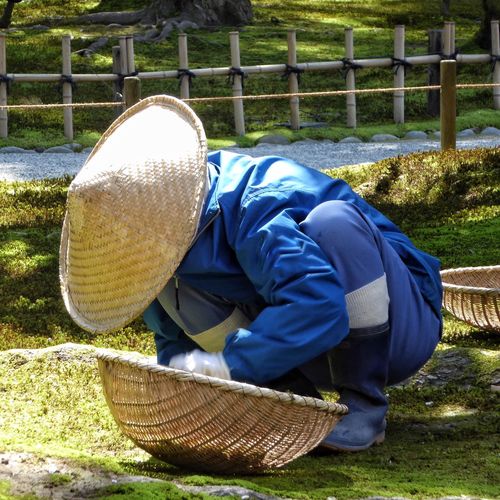 Full length of worker wearing asian style conical hat while searching in wicker basket