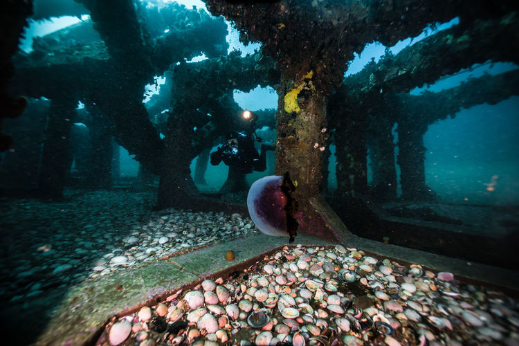 Scuba divers filming concrete blocks underwater