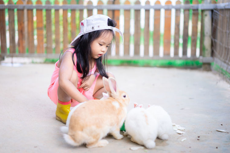 Girl looking at rabbits in yard