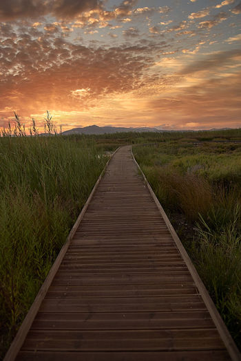 Boardwalk leading towards field against sky during sunset