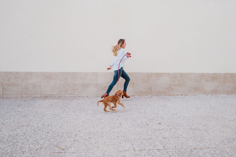 Full length of woman walking with dog against wall