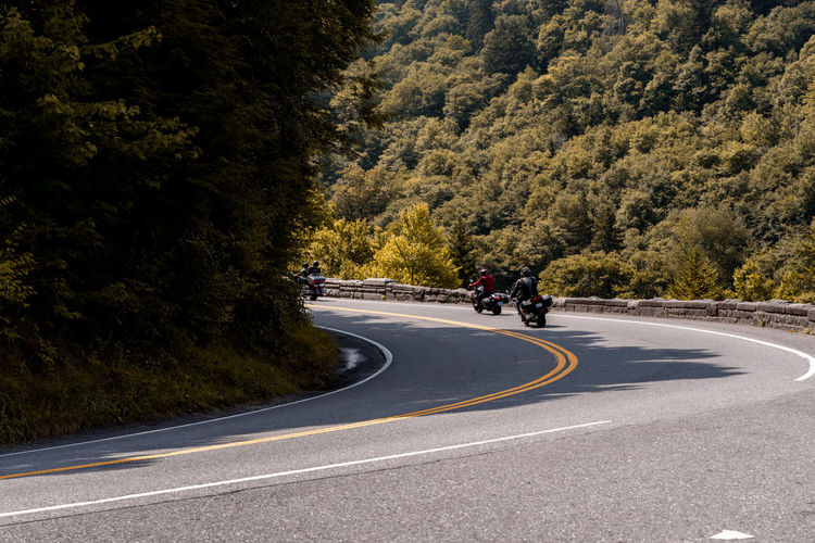 Men riding motorcycles on winding road