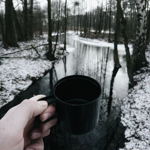 Close-up of hand holding coffee cup in forest