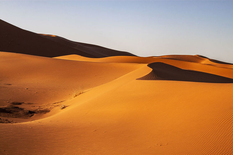Sahara desert landscape in morocco, africa.light and shadows, mythical arabic desert gold sand dunes