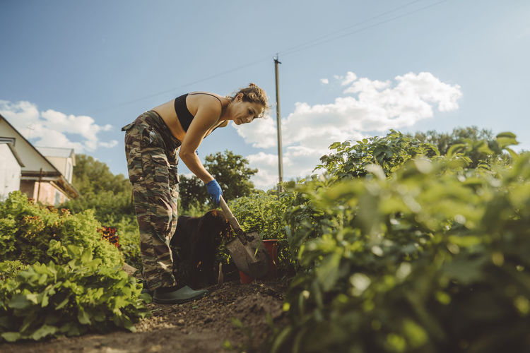 Mature woman digging with shovel in vegetable garden