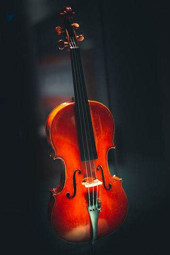Stringed instruments for classical music concept of classical and good music