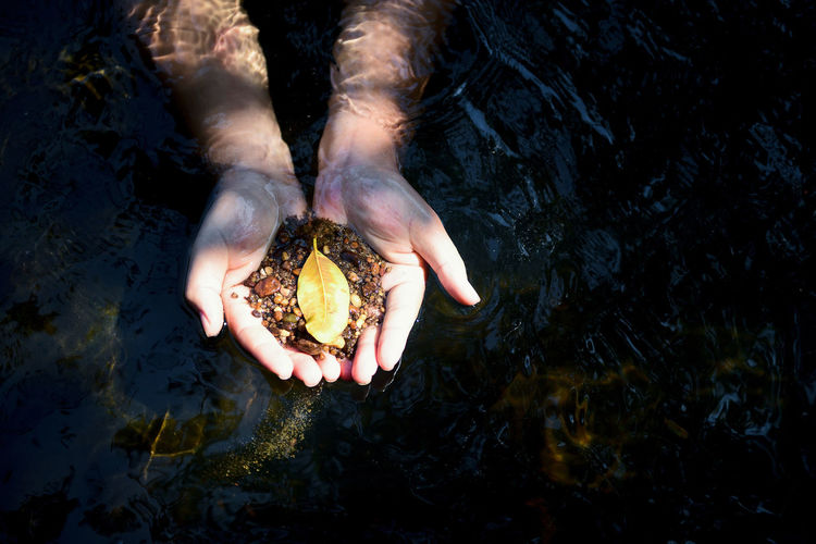 Cropped hands of man holding leaf in hands above water