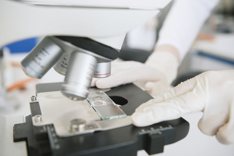 Crop view of hands of scientist puting sample to analyze by microscope in lab