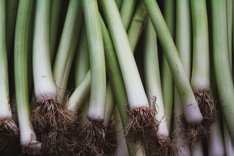 Full frame shot of spring onions for sale at market stall