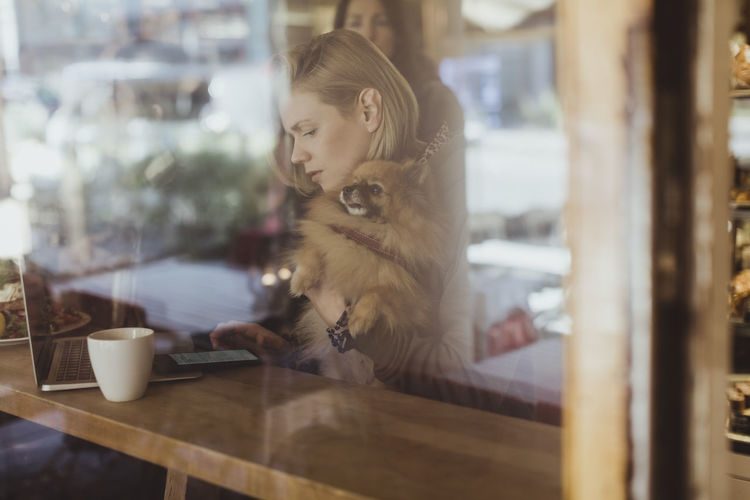 Woman using smart phone while sitting with pomeranian at cafe seen through window