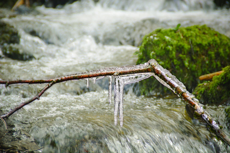 Close-up of melting icicle against river