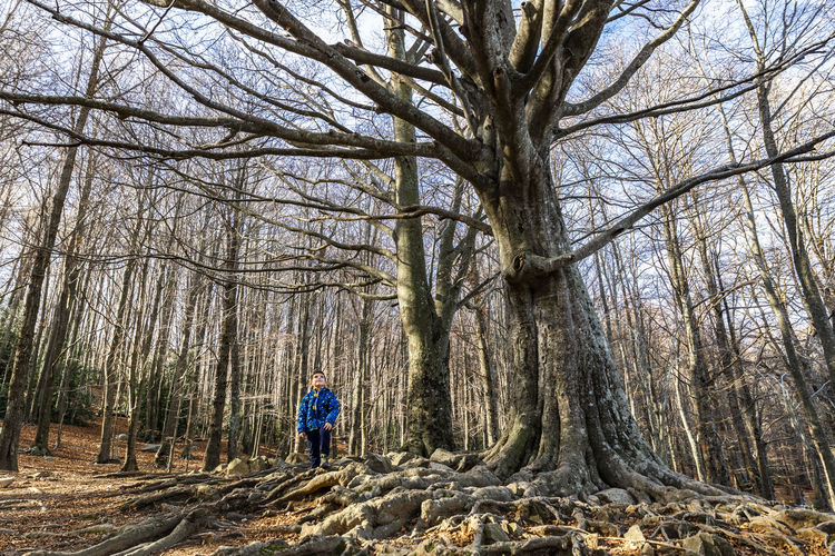 Boy standing in forest during autumn