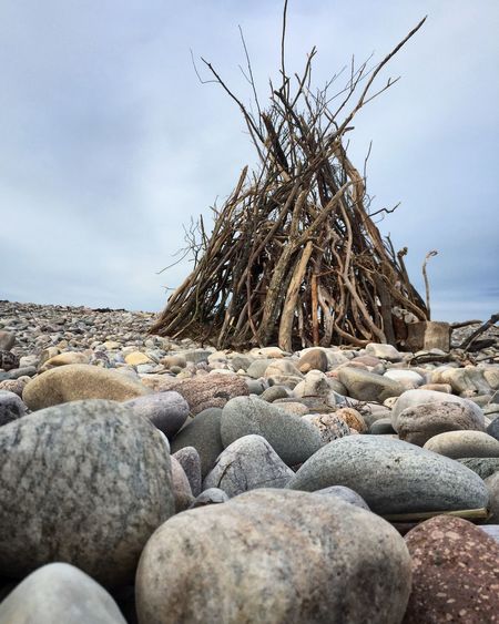 Firewood arranged at beach against sky