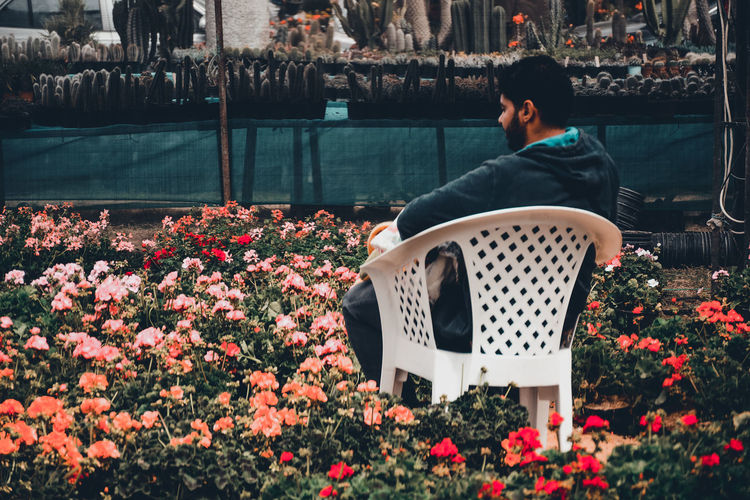 Rear view of man sitting on chair amidst flowers at garden