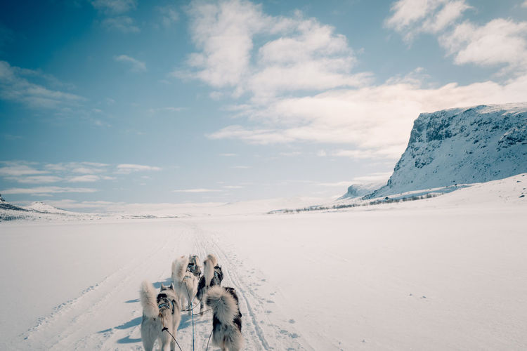 1st person photograph of dogsledding on snow with mountains, blue sky and clouds